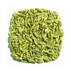 Shanson Exports : An Exporter Of Fennel Seeds, Fennel Seeds Exporter, Fennel Seeds Supplier, Fennel Seeds Producer, Fennel Seeds Singapore Quality, Fennel Seeds Europe Quality, Fennel Seeds Ahmedabad, Fennel Seeds Exporter Gujarat, Fennel Seeds Exporter India.